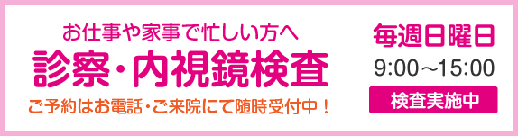 日曜・休日 内視鏡検査